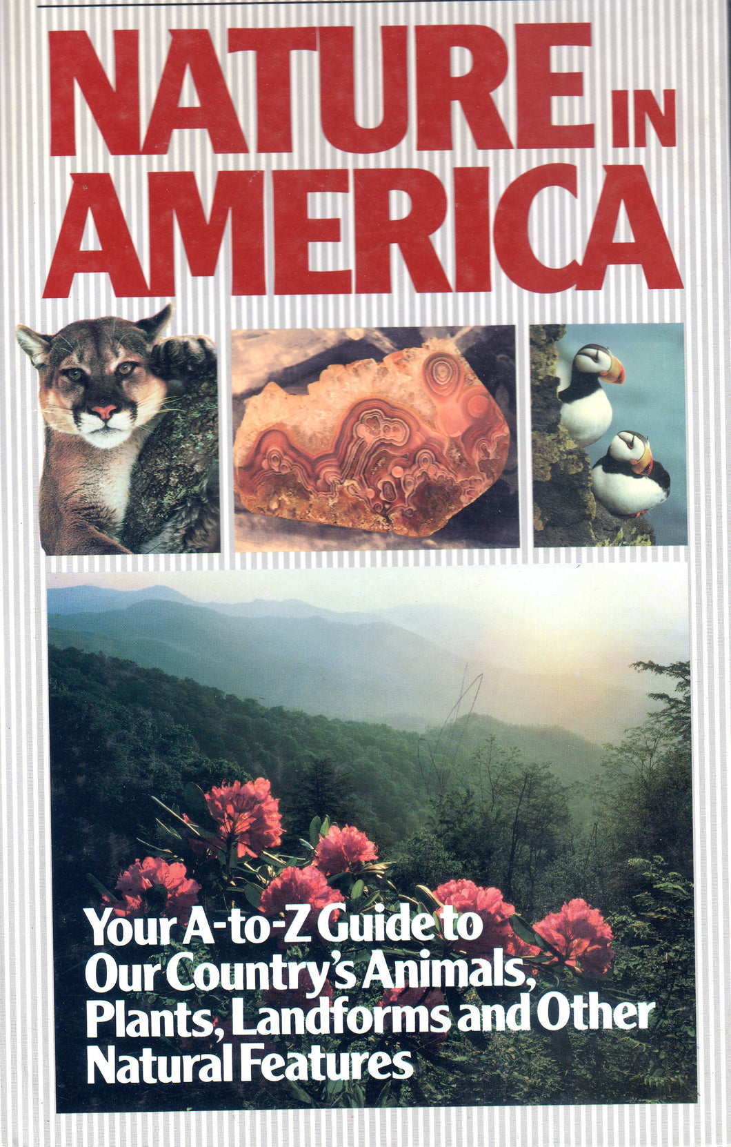 Nature in America by Reader's Digest (Used like new)